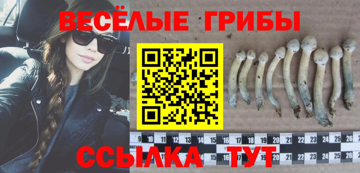 Псилоцибиновые грибы прущие грибы Армавир